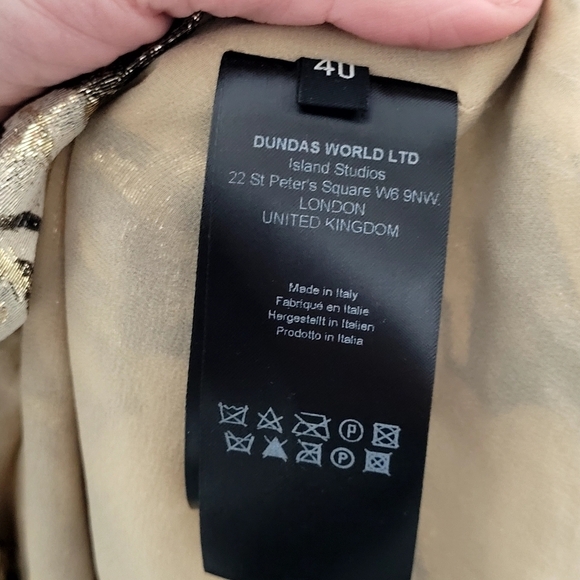 Dundas Ruffled Metallic Dress - Picture 6 of 9